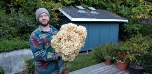 Adam with Cauliflower mushroom (sparassis radicata).