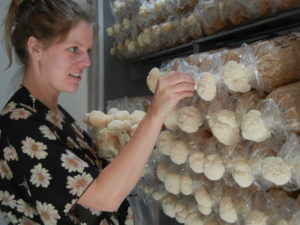 Astrid harvesting lion's mane.